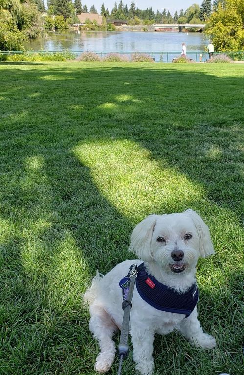 Max on grass